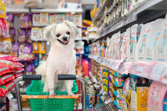Süpermarket, Pet Shop